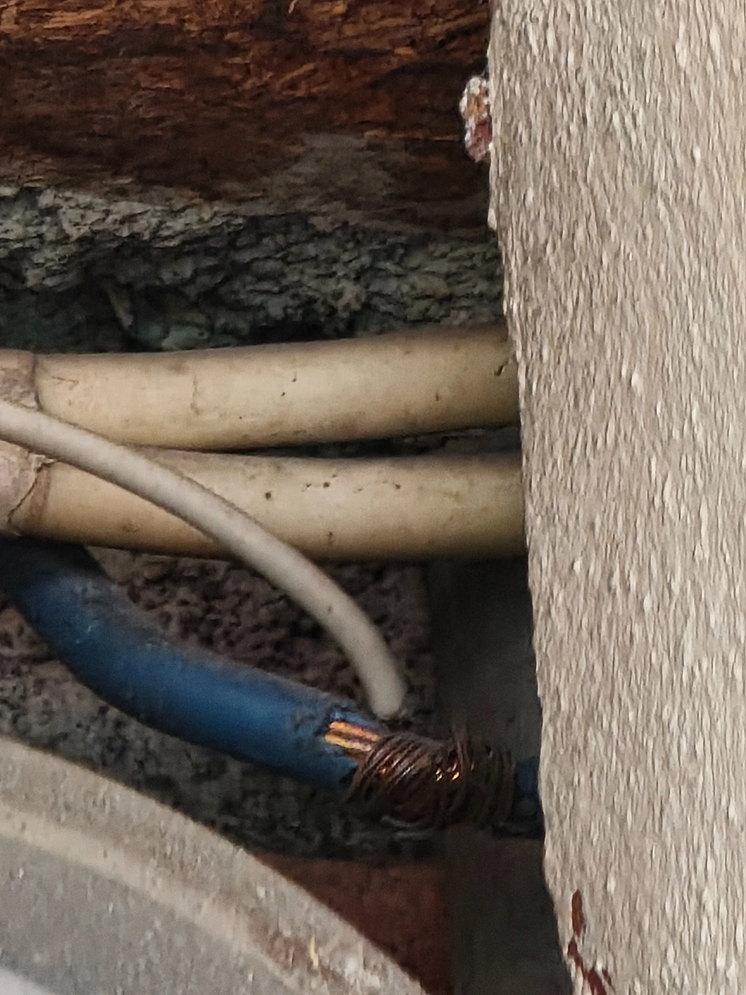 Why Does My Circuit Breaker Keep Tripping? 7 Common Causes 4
