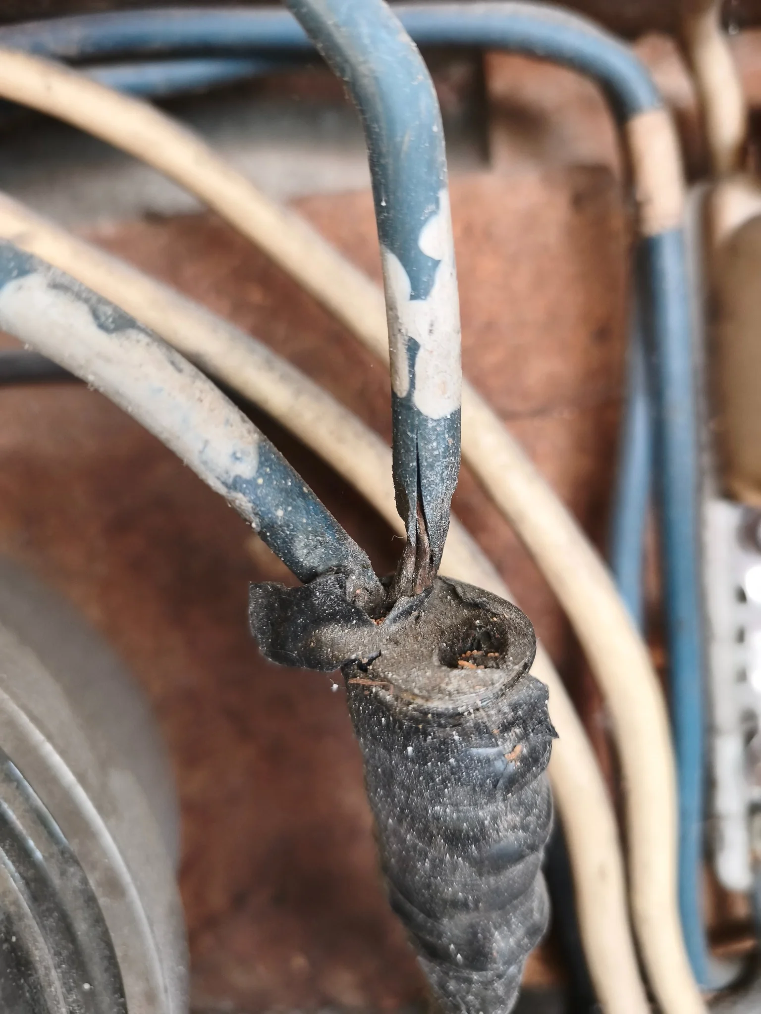 Why Does My Circuit Breaker Keep Tripping? 7 Common Causes 2
